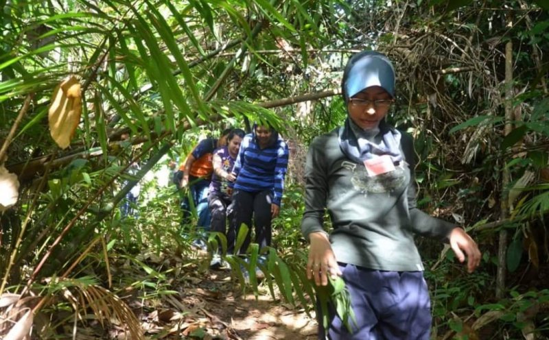 Juara Jungle Tracking